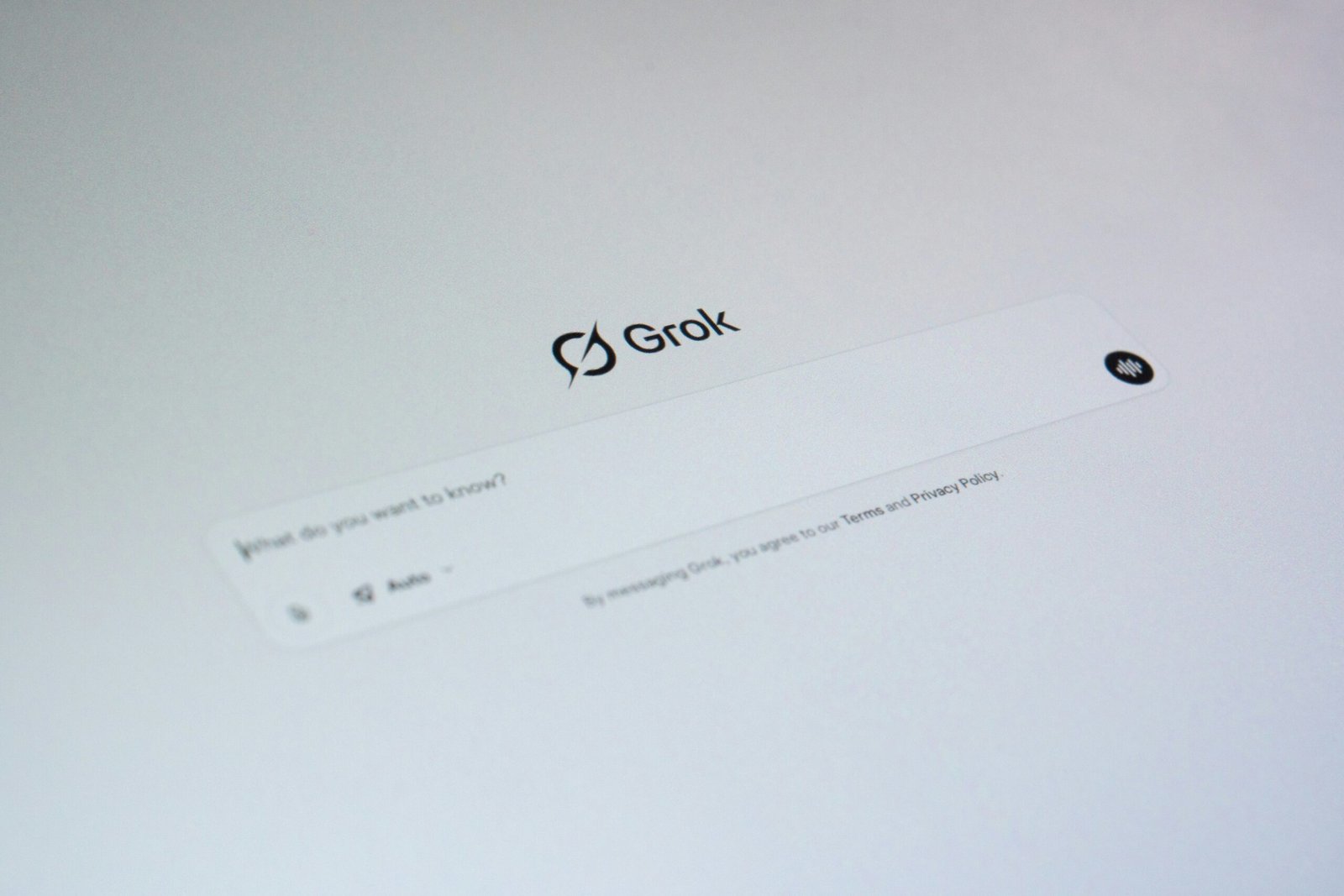 Interfejs czatu Grok – przykładowe okno rozmowy z chatbotem AI na białym tle. Widoczny pasek wyszukiwania z logo Grok i placeholderem „What do you want to know?”.